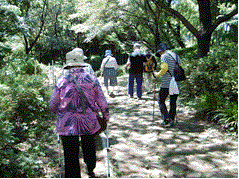 活動の様子の写真１