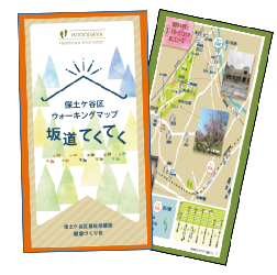 The cover image of the sloped map