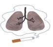 タバコの煙で汚れた肺