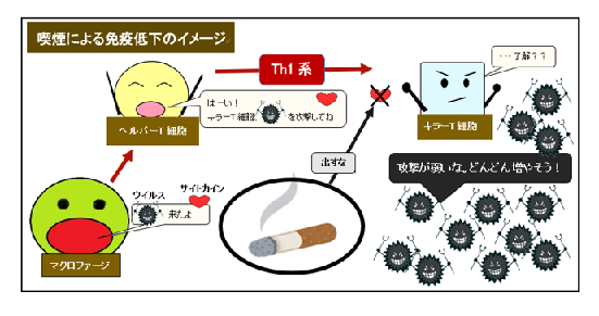 喫煙による免疫低下のイメージ