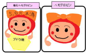 糖化ヘモグロビンとヘモグロビン
