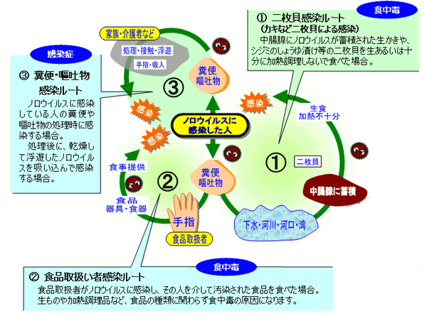 感染ルート模式図