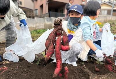 第５回（農業体験）の様子