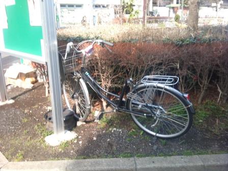 敷地に放置された自転車