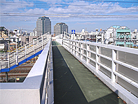 Imagen del puente pedestre