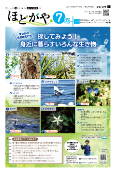 広報よこはまほどがや区版７月号表紙