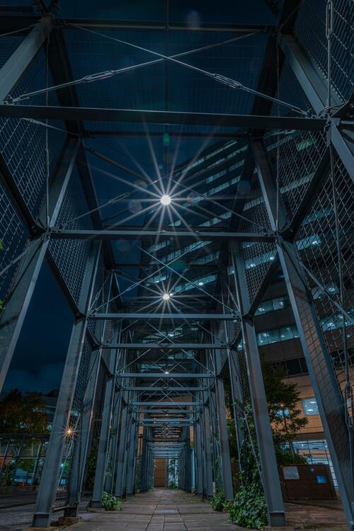 ビジネスパークの夜の写真