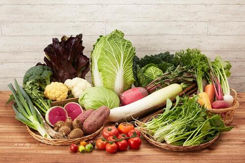 ほどがや花憲章賞副賞苅部農園 直売所FRESCO野菜詰め合わせ
