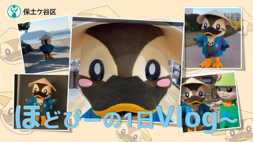 ほどぴーの1日