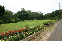 elementary school studenｔ Amusement Park