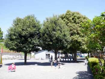 สวนสาธารณะที่ 2 ตำบล คะวะจิมะมะจิ