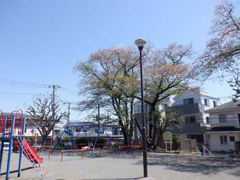 新桜ケ丘第一公園