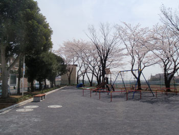Shinsakuragaoka quarto Parque