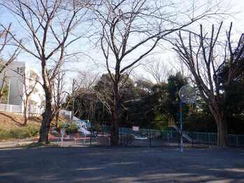 Lei parque de Izumi