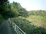 An image of a path overlooking Sakaigimachi