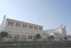 trường tiểu học Tamashi