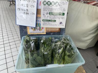 朝市街道の写真