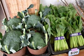 販売されている野菜の画像
