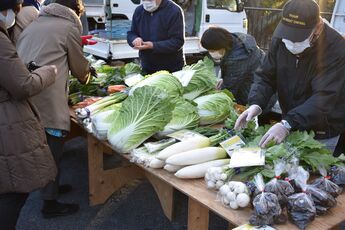 並んでいる長ねぎや白菜などの野菜