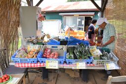 直売所に並ぶトマトやキュウリ