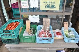 直売所に並ぶトマトやじゃがいも