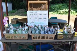 直売所に並ぶナスやジャガイモなど