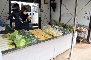 直売所に並ぶ野菜