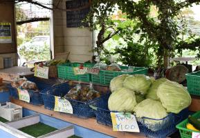 Vegetables sold at direct sales outlets