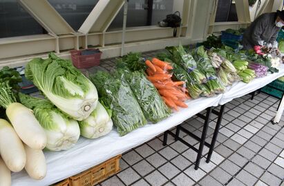 ほどがや朝市に並ぶ白菜やほうれん草など