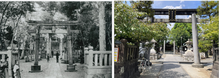 橘樹神社の写真