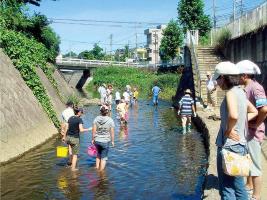 保土ケ谷宿松並木プロムナード水辺愛護会の写真