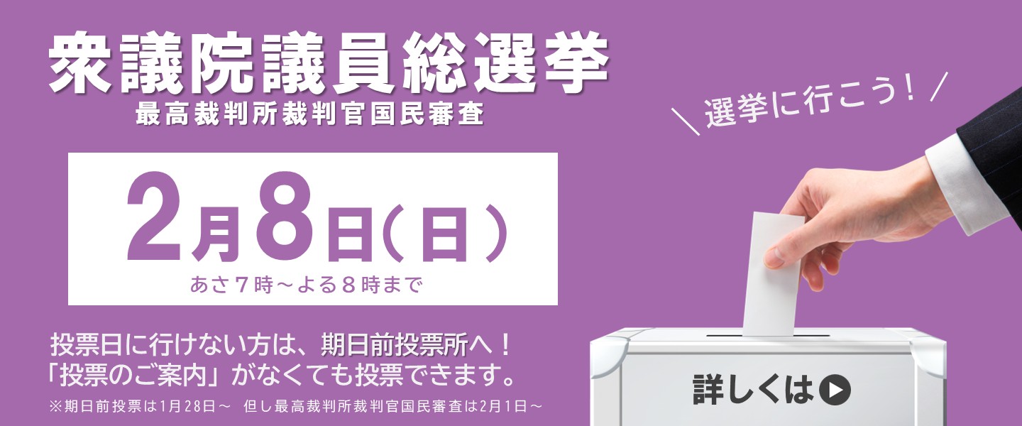 衆議院議員総選挙