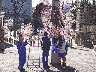 造花（桜）飾り付け作業風景