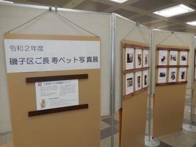 This is a photo exhibition.