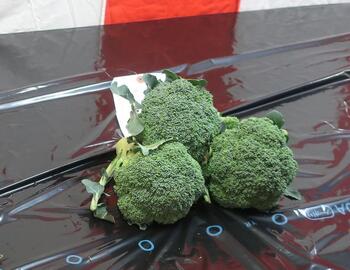 ブロッコリー