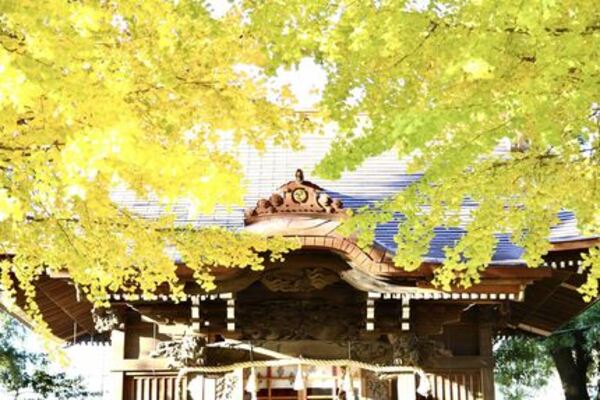 八幡橋八幡神社の紅葉