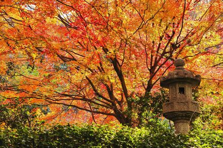 久良岐能楽台庭園の紅葉