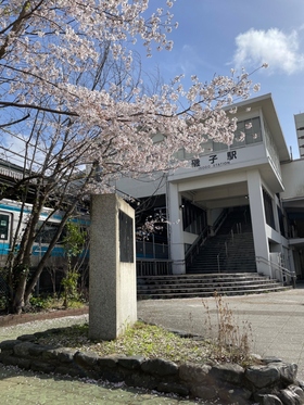 La cereza florece delante de Estación de Isogo