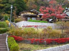 Introducing Negishi Natsukashi Park Photo 1