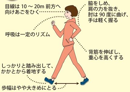 目線を前方に向け顎を引く、背筋を伸ばし重心を高くする、一定のリズムの呼吸を保つ等の注意点があります。