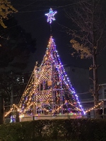 いちょう団地イルミネーション点灯