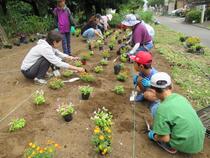 花壇にお花を植えつけているようす