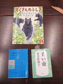 冬・その他グループの本