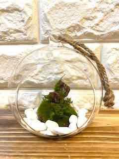 ローズガーランド