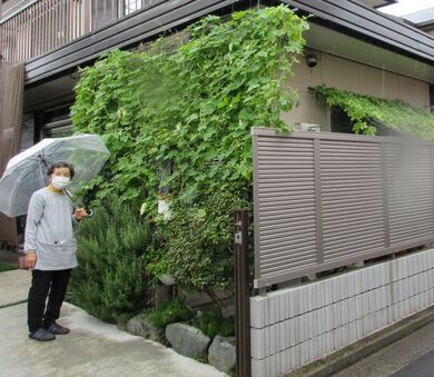 ご親族宅の緑のカーテンの様子