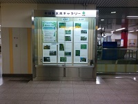 中田站泉区民画廊的图片
