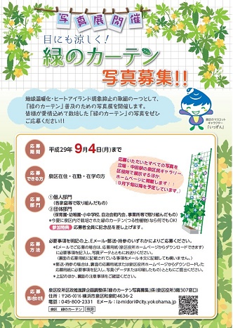 緑のカーテンチラシイメージ