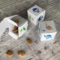 種配布サイコロボックス画像１