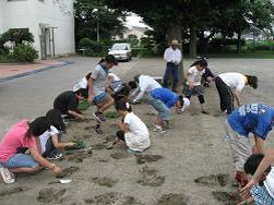 植付作業の写真
