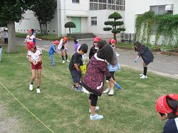 冬芝種まきの写真